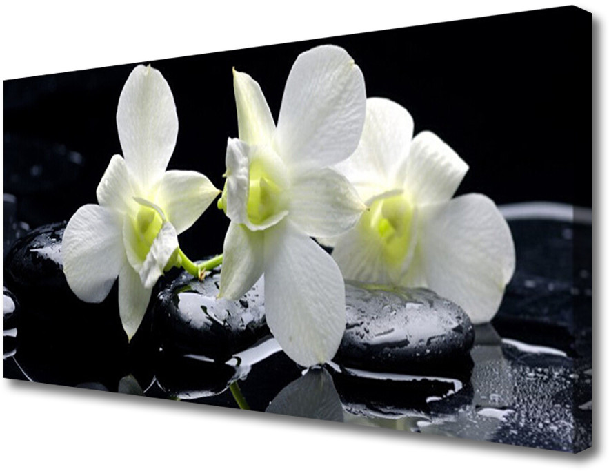 PL Tulup Obraz na Płótnie Kwiat Storczyk Biały 120x60cm