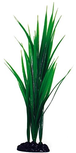 Wave a8011177 Plant Classic Bamboo, rozmiar: S, 12 cm