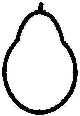 REINZ Uszczelka, kolektor dolotowy REINZ 71-33179-00