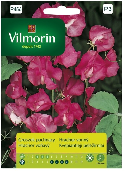 Vilmorin Nasiona groszek pachnący różowy