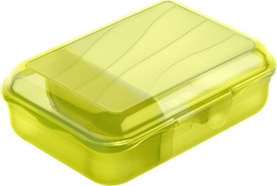 Rotho Pojemnik na żywność 0.9 L FUN limonka 1111805073 uniwersalny ROTHO_1111805073