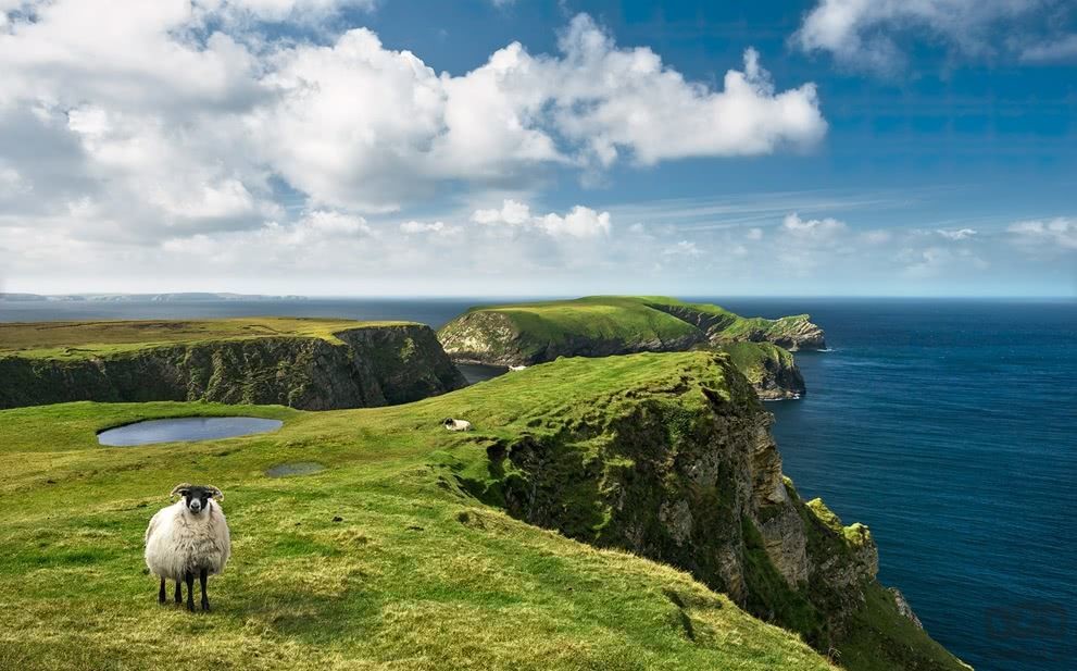 Komar Fototapeta Green Ireland SHX9-040 SHX9-040