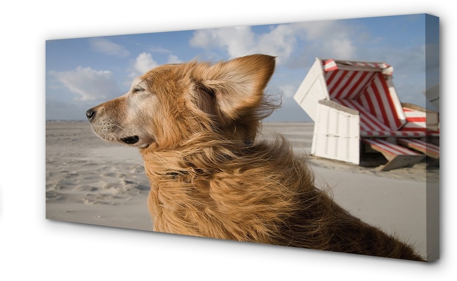 PL Tulup Obrazy na płótnie Brązowy pies plaża 120x60cm