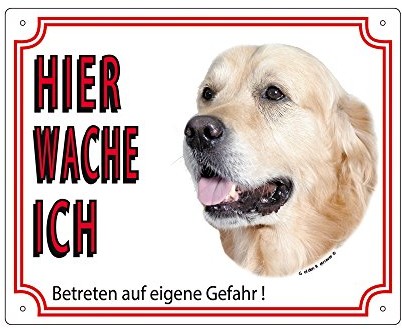 Nobby 93207 znak ostrzegawczy Golden Retriever