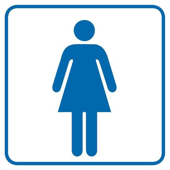 Znak informacyjny WC DAMSKIE