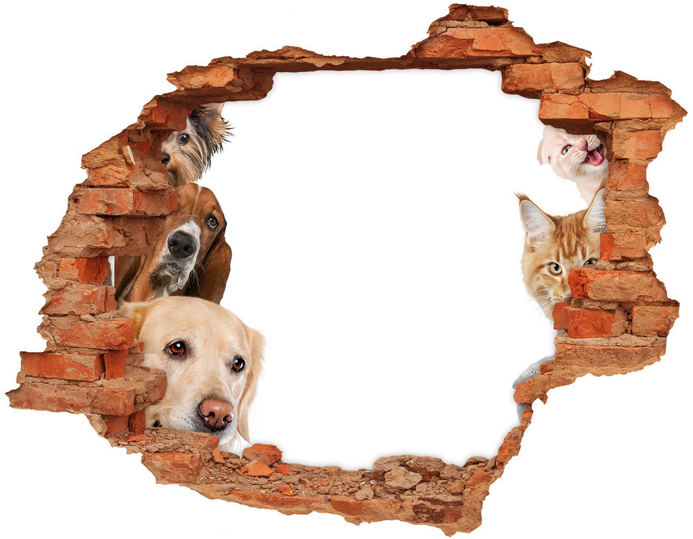 Wallmuralia.pl Dziura 3d fototapeta na ścianę Psy i koty