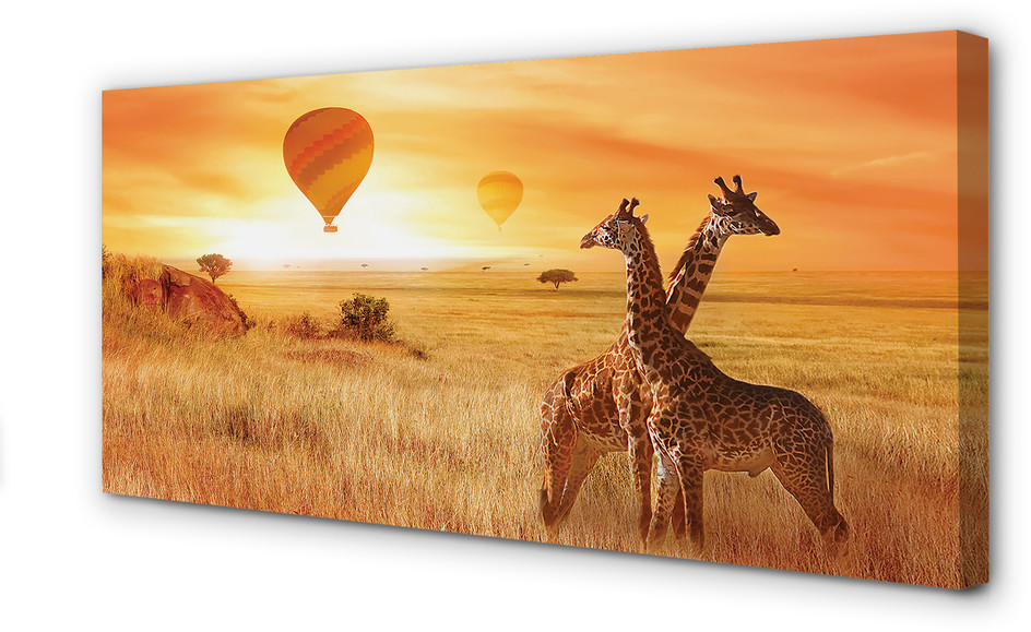 PL Tulup Obrazy na płótnie Balony niebo żyrafy 125x50cm