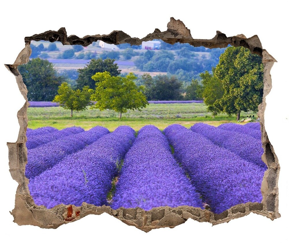 Wallmuralia.pl naklejka fototapeta 3D widok Pole lawendy