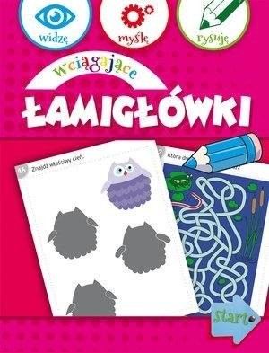 Olesiejuk Sp. z o.o. Widzę, myślę, rysuję. Wciągające łamigłówki - Anna Wiśniewska