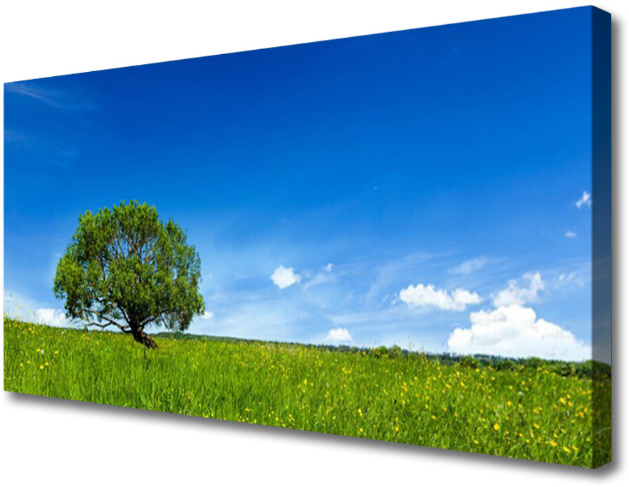 PL Tulup Obraz na Płótnie Trawa Drzewo Natura 100x50cm