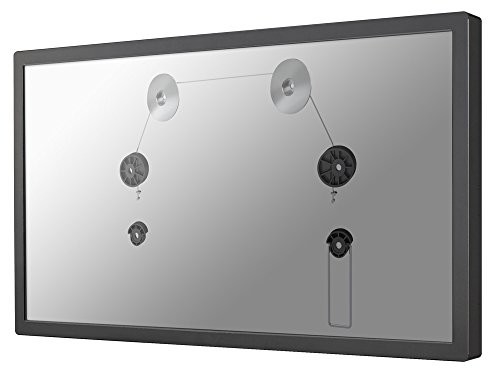 NewStar Uchwyt ścienny PLASMA-W800
