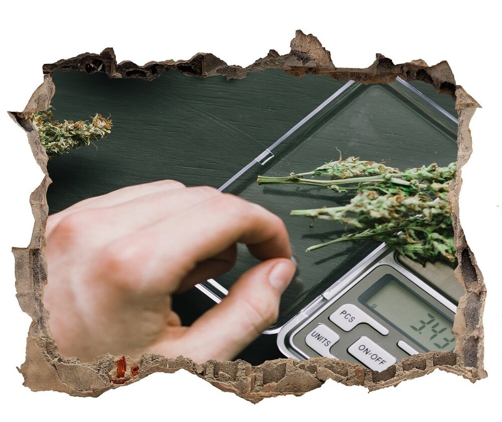 Wallmuralia.pl Samoprzylepna naklejka fototapeta Topy marihuany