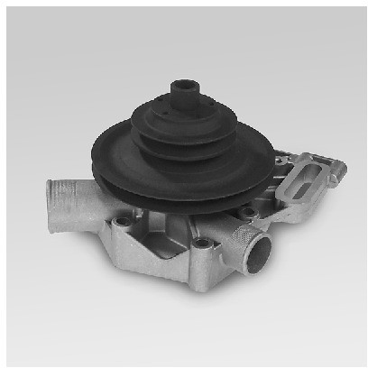 HEPU Pompa wodna P827