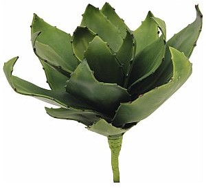 Europalms Europalms  Agave (EVA), green, 45cm, Sztuczna roślina 82530576