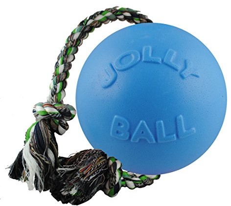 Jolly Pets joll050b psy do zabawy  ball romp-N-Roll, 15 cm, jasnoniebieski 606 BB