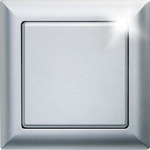 Eltako włącznik radiowy, zasilanie bateryjne i leitungslos z przełącznik kołyskowy/podwójny przełącznik kołyskowy, 1 sztuka, aluminiowa, ft55-AL