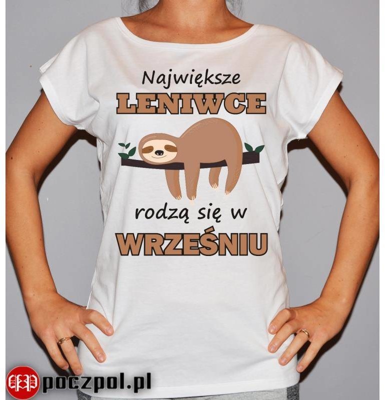 Poczpol Największe leniwce rodzą się w... PRZPOC-42-1908