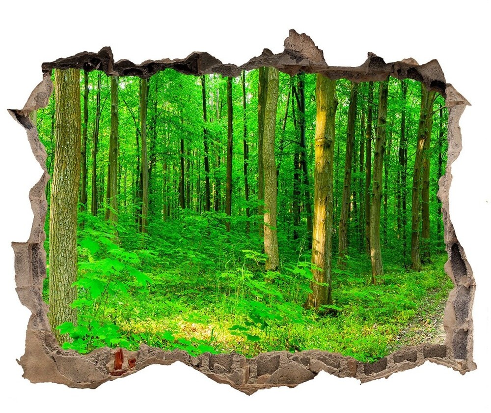 Wallmuralia.pl Samoprzylepna dziura naklejka Drzewa w lesie