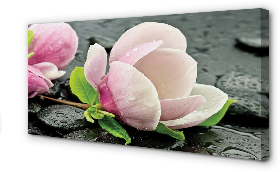 PL Tulup Obrazy na płótnie Magnolia kamienie 140x70cm