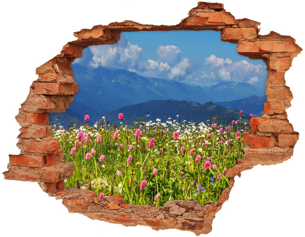 Wallmuralia.pl naklejka fototapeta 3D widok Łąka w górach