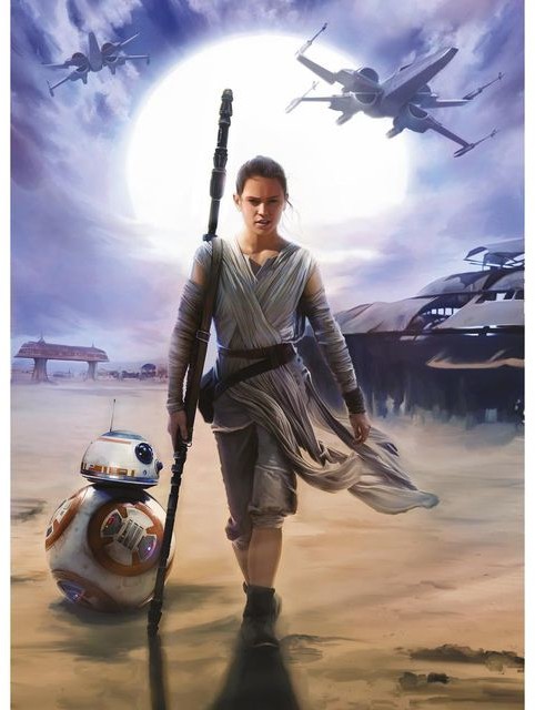 Fototapeta STAR WARS 254 x 184 cm