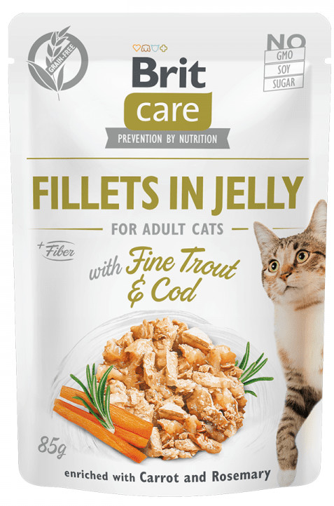 Brit karma mokra dla kotów Care Cat Fillets in Jelly with Fine Trout & Cod 24x85 g