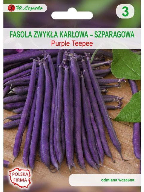 Legutko Fasola zwykła karłowa PURPLE TEEPEE
