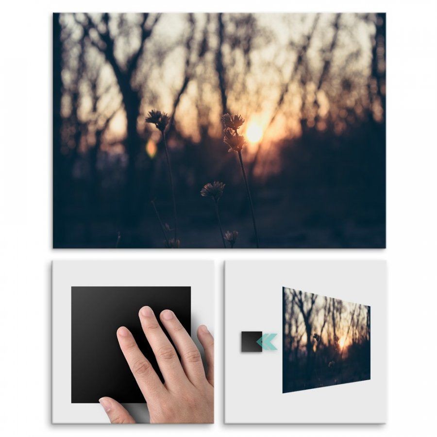 Pix4home Plakat metalowy kwiaty w blasku słońca M POS-M-01289