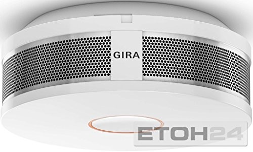 Gira Dual Q DIN14604, czujk dymu sterowany na fale radiowe, czysta biel, 233602