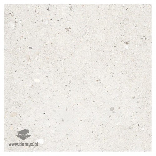Provenza Ego Avorio Nat. Rett. 60x60 Ego_Avorio_Nat