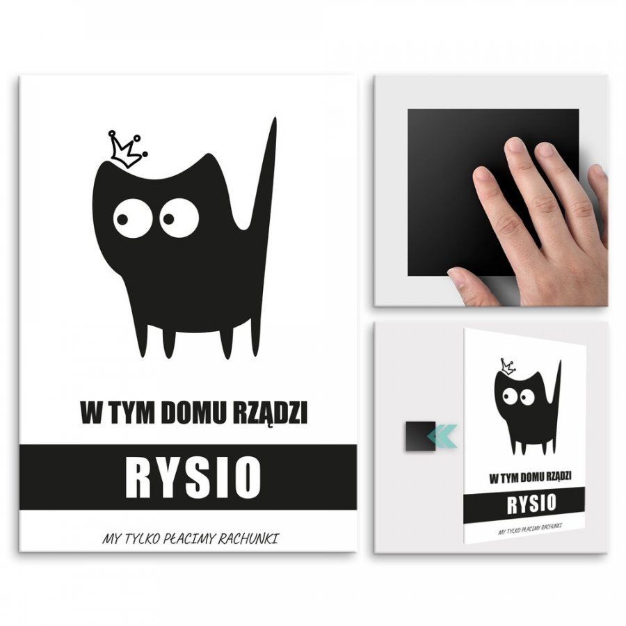 Pix4home Plakat metalowy W Tym Domu Rządzi Kot M POS-M-02731