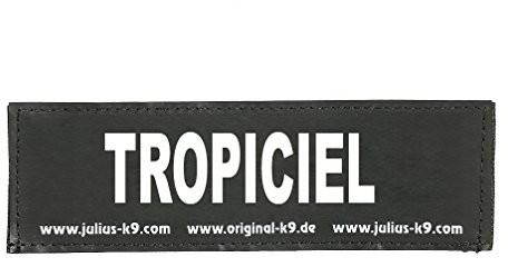 JULIUS K-9 Julius K9 162lr-K-42341 napisem na rzep, Trop transiciel, mały, czarny