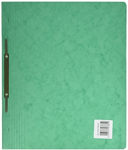 Brunnen Brunnen 102010650 skoroszyt FACT!plus (A4, z kartonu) zielony 102010650