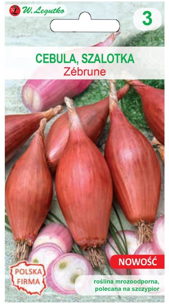 Legutko Cebula szalotka Zebrune nasiona W.Legutko
