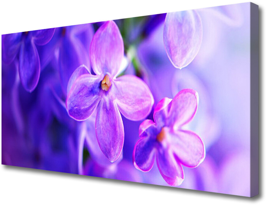 PL Tulup Obraz Canvas Kwiaty Fioletowe Natura 100x50cm