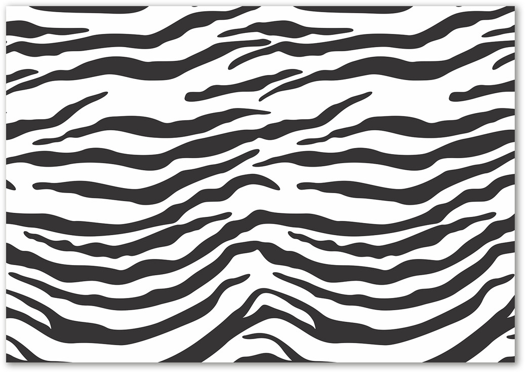 Foto obraz na ścianę akryl Zebra tło