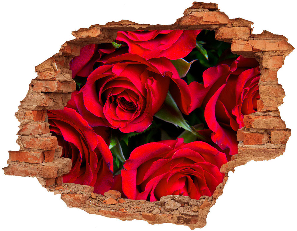 Wallmuralia.pl Samoprzylepna dziura naklejka Czerwone róże
