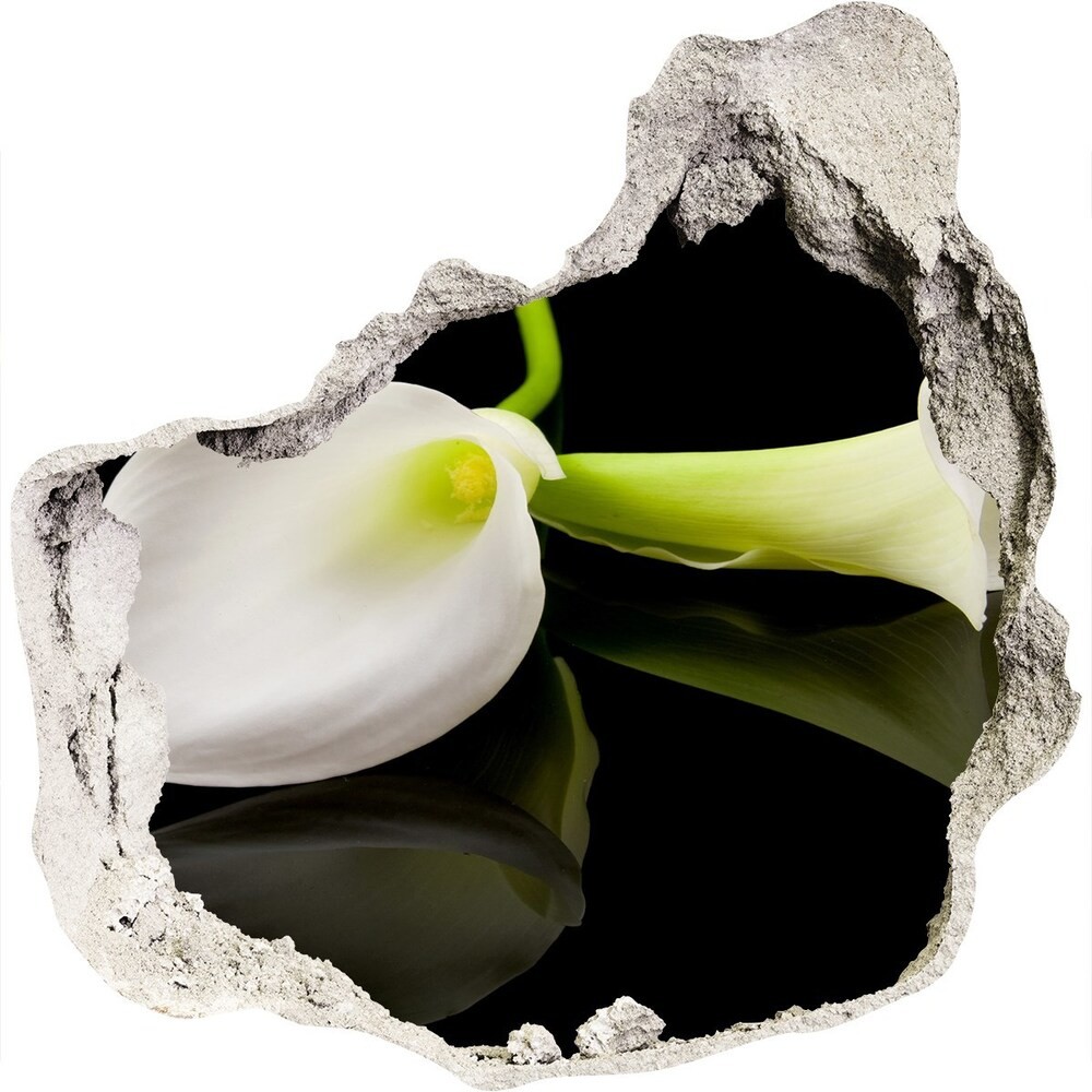 Wallmuralia.pl Samoprzylepna naklejka fototapeta Kalia