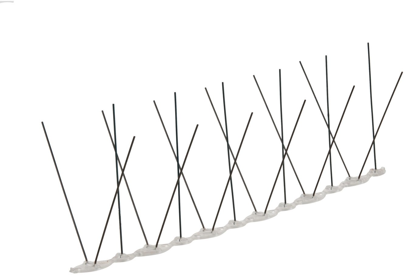 Cyganek Kolce przeciw ptakom 31 cm