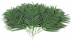 Europalms Europalms Coconut palm branch 80cm 12 szt., Sztuczny liść 82509895