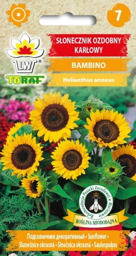 Toraf Słonecznik ozdobny karłowy Bambino 1g Nas000521
