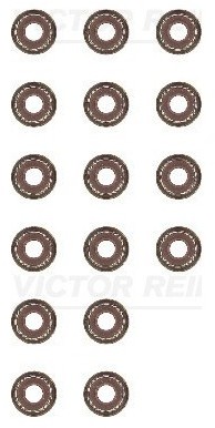 REINZ Zestaw uszczelniaczy, trzonek zaworu 12-38628-01