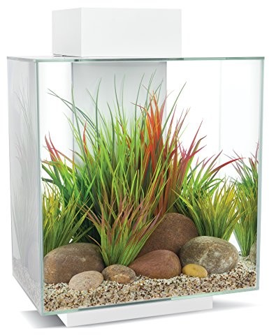 Fluval 15039 Edge 2.0 46 l zestaw do akwarium, biały