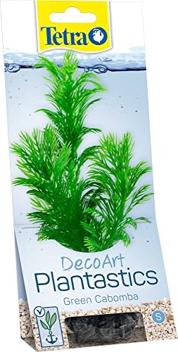 Tetra TETRA Deco Rodzaj Plant cabomba, roślina Sztuczne Aquarium roślin, prawdziwa jakość druku pod wodą, rozmiar S, zielony