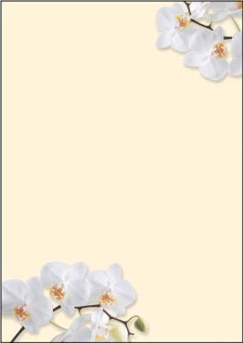 Sigel papier listowy z motywem ozdobnym, gramatura papieru 90 g/m, format A4, 50 arkuszy DIN A4 DP904