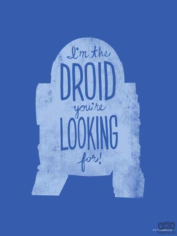 Komar Obraz Star Wars Silhouette Quotes R2D2 WB-SW-022 WB-SW-022_opcje
