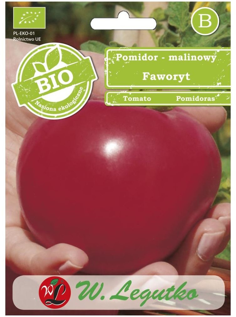 Legutko Pomidor malinowy nasiona BIO Faworyt