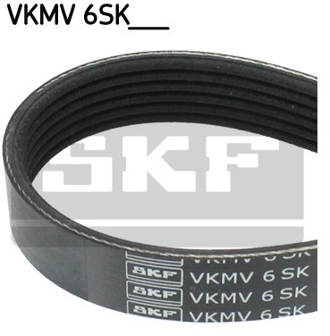 SKF Pasek klinowy wielorowkowy VKMV 6SK1019