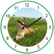 Atrix Zegar kolorowy pies golden retriever ATE900PL1