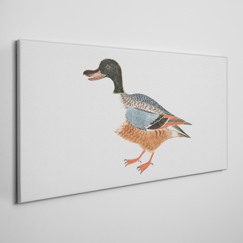 PL Coloray Obraz Canvas Rysunek Zwierzę Kaczka Pióra 100x50cm